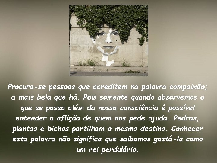 Procura-se pessoas que acreditem na palavra compaixão; a mais bela que há. Pois somente