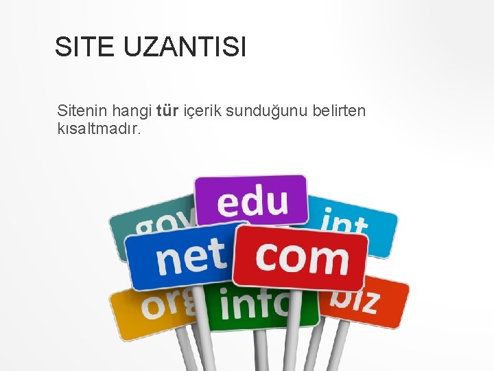 SITE UZANTISI Sitenin hangi tür içerik sunduğunu belirten kısaltmadır. 