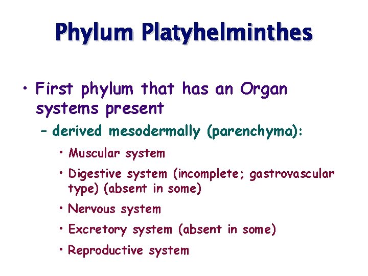 Phylum Platyhelminthes • First phylum that has an Organ systems present – derived mesodermally