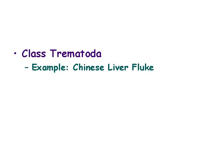  • Class Trematoda – Example: Chinese Liver Fluke 