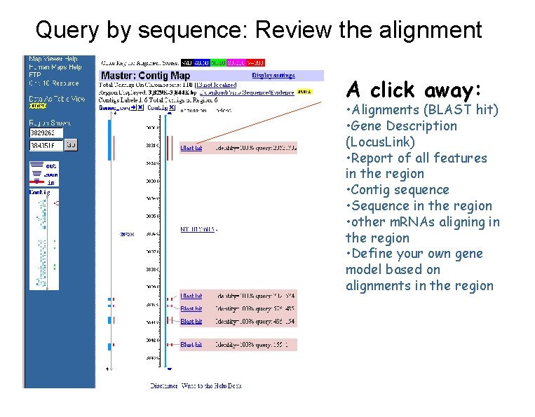 Query by sequence: Review the alignment A click away: • Alignments (BLAST hit) •