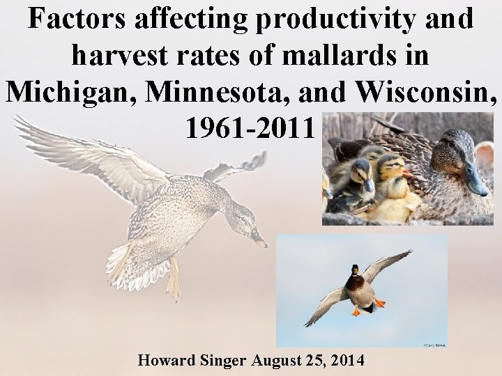 Factors affecting productivity and harvest rates of mallards in Michigan, Minnesota, and Wisconsin, 1961