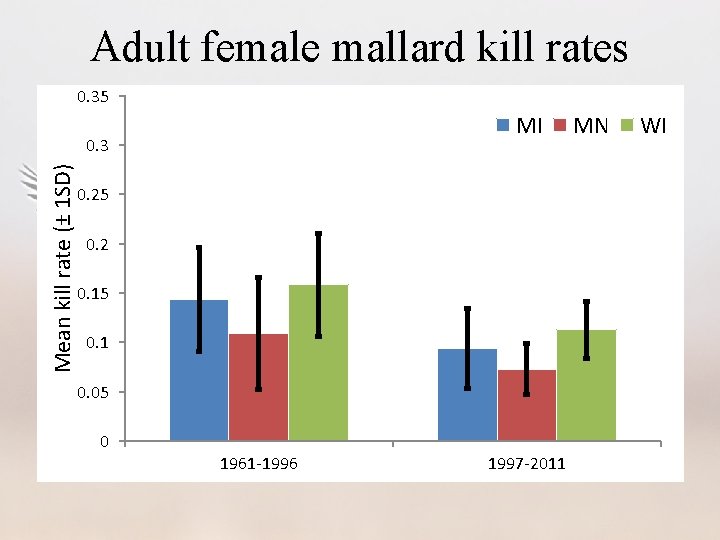 Adult female mallard kill rates 0. 35 MI Mean kill rate (± 1 SD)
