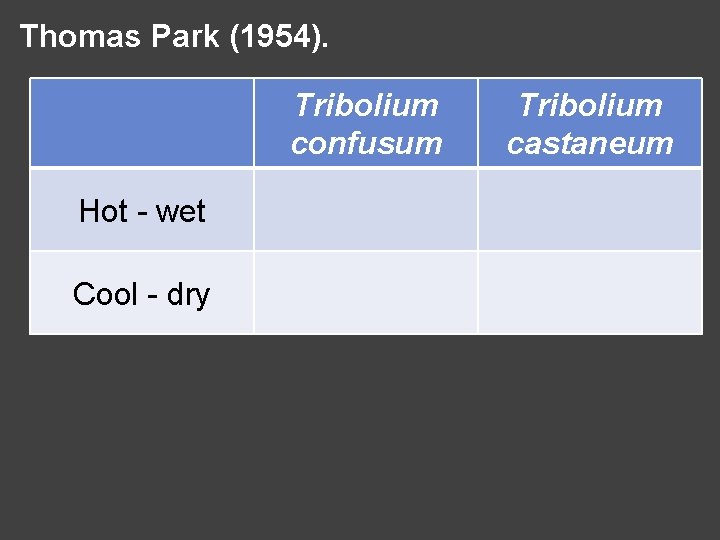 Thomas Park (1954). Tribolium confusum Hot - wet Cool - dry Tribolium castaneum 