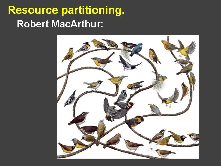 Resource partitioning. Robert Mac. Arthur: 