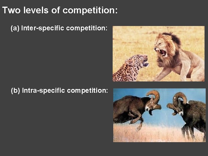 Two levels of competition: (a) Inter-specific competition: (b) Intra-specific competition: 