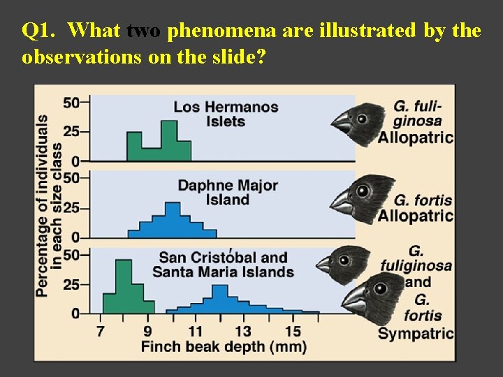 Q 1. What two phenomena are illustrated by the observations on the slide? 