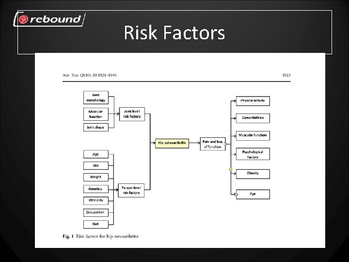 Risk Factors 