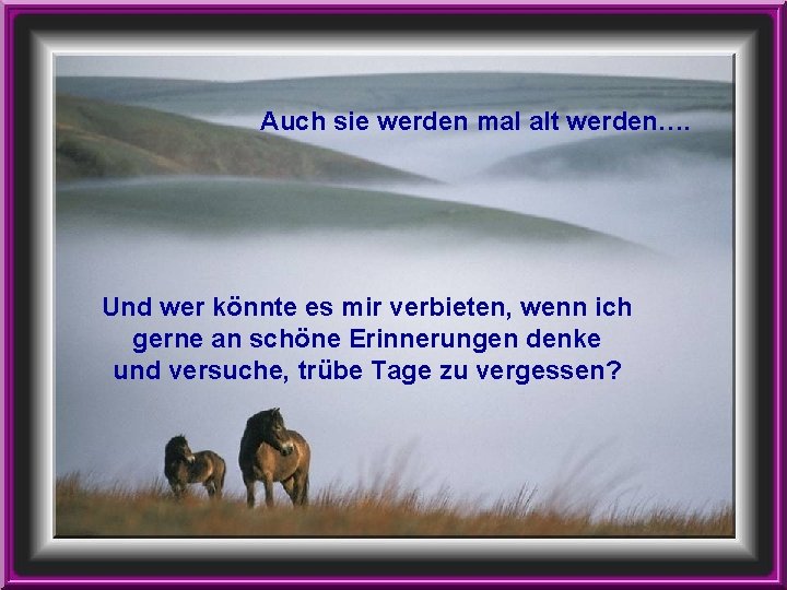Auch sie werden mal alt werden…. Und wer könnte es mir verbieten, wenn ich