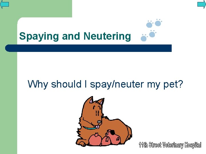 Spaying and Neutering Why should I spay/neuter my pet? 