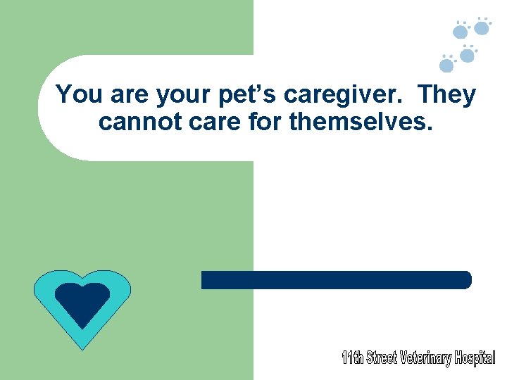 You are your pet’s caregiver. They cannot care for themselves. 