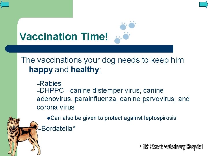 Vaccination Time! The vaccinations your dog needs to keep him happy and healthy: –Rabies