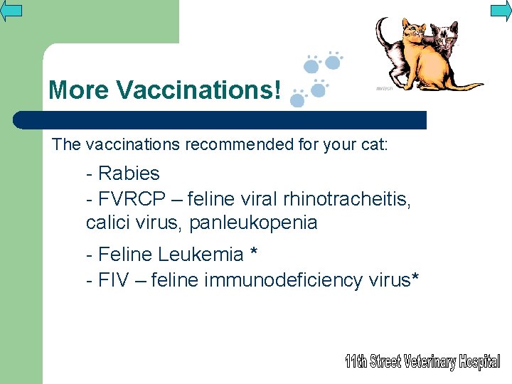 More Vaccinations! The vaccinations recommended for your cat: - Rabies - FVRCP – feline