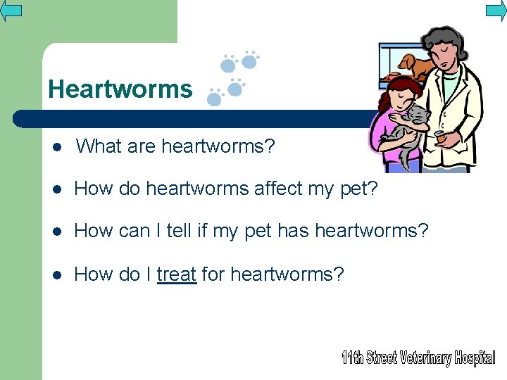 Heartworms l What are heartworms? l How do heartworms affect my pet? l How