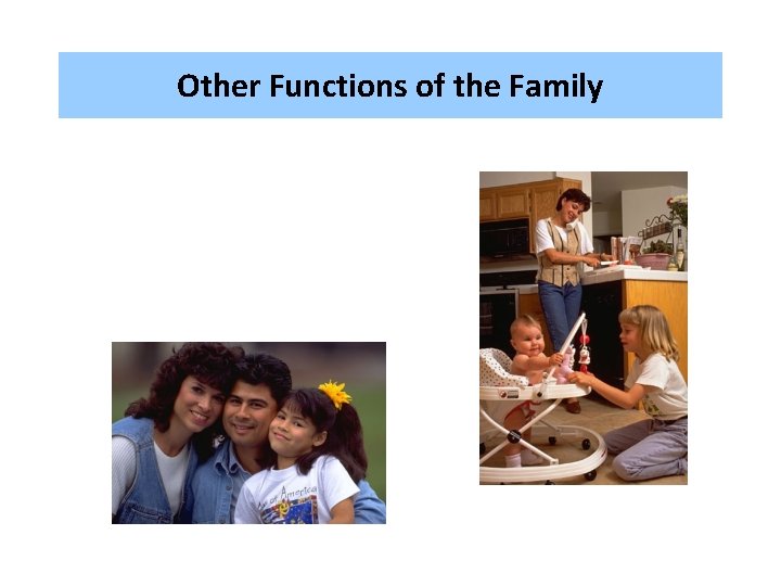Other Functions of the Family 