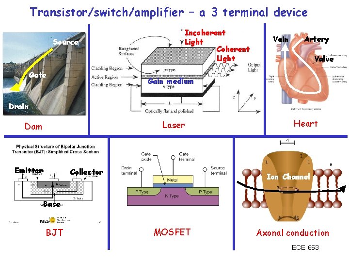 Transistor/switch/amplifier – a 3 terminal device Source Gate Incoherent Light Coherent Light Vein Artery