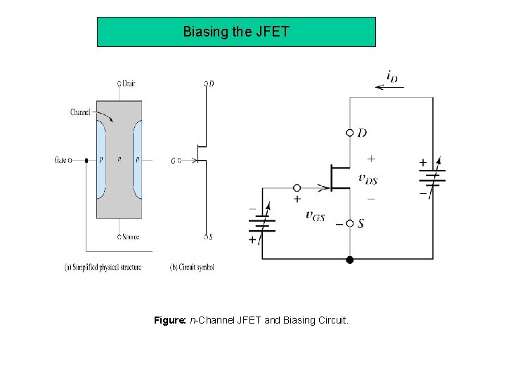 Biasing the JFET Figure: n-Channel JFET and Biasing Circuit. 