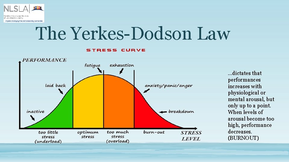 The Yerkes-Dodson Law …dictates that performances increases with physiological or mental arousal, but only