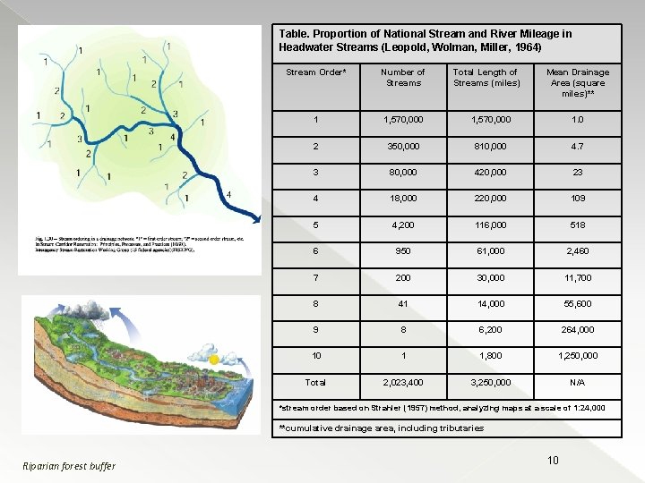 Table. Proportion of National Stream and River Mileage in Headwater Streams (Leopold, Wolman, Miller,