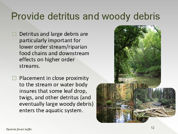 Provide detritus and woody debris � Detritus and large debris are particularly important for