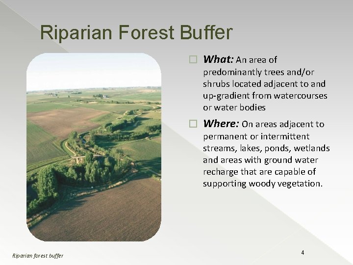 Riparian Forest Buffer � What: An area of predominantly trees and/or shrubs located adjacent
