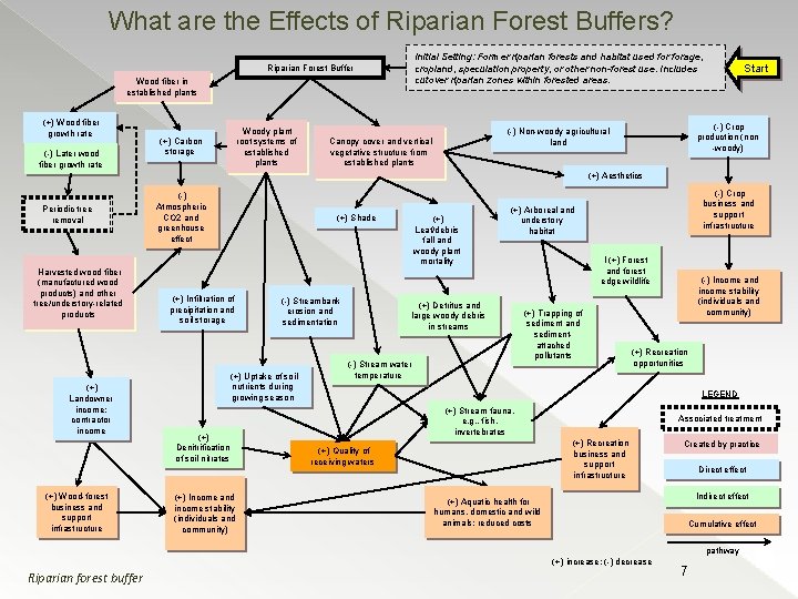 What are the Effects of Riparian Forest Buffers? Initial Setting: Former riparian forests and