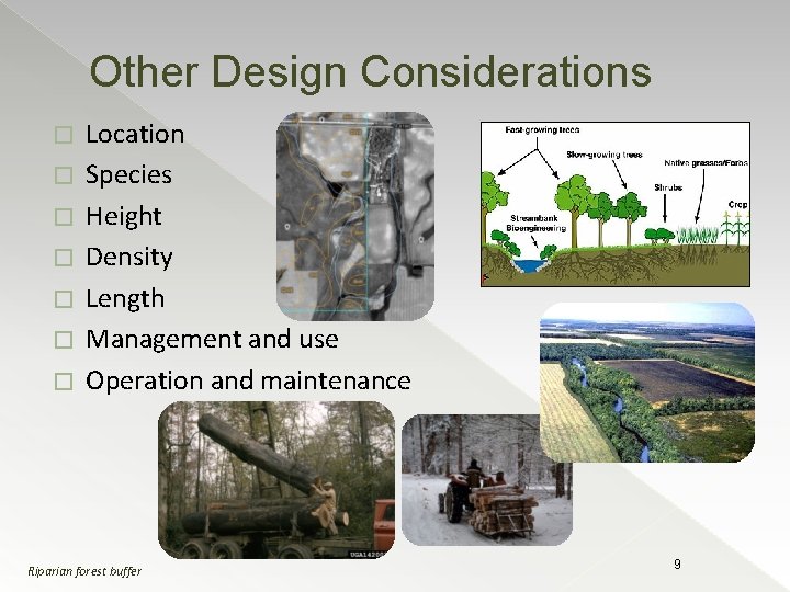 Other Design Considerations � � � � Location Species Height Density Length Management and