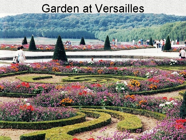 Garden at Versailles 