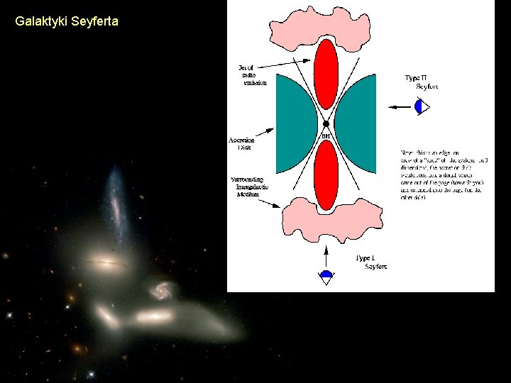 Galaktyki Seyferta 