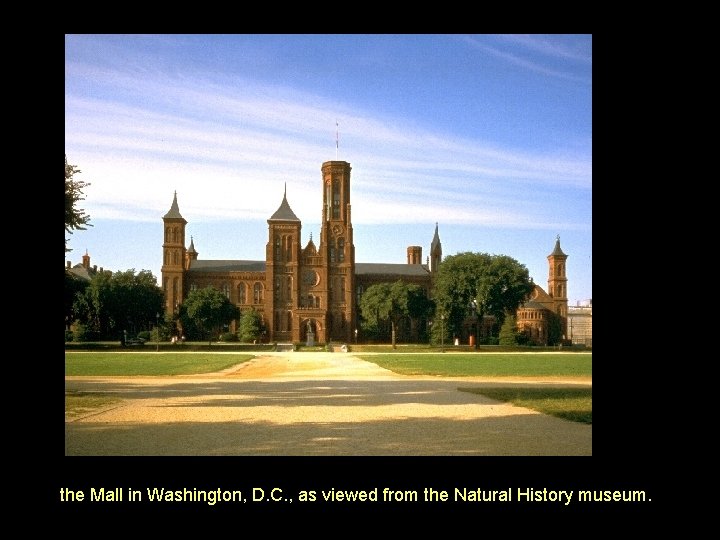 the Mall in Washington, D. C. , as viewed from the Natural History museum.