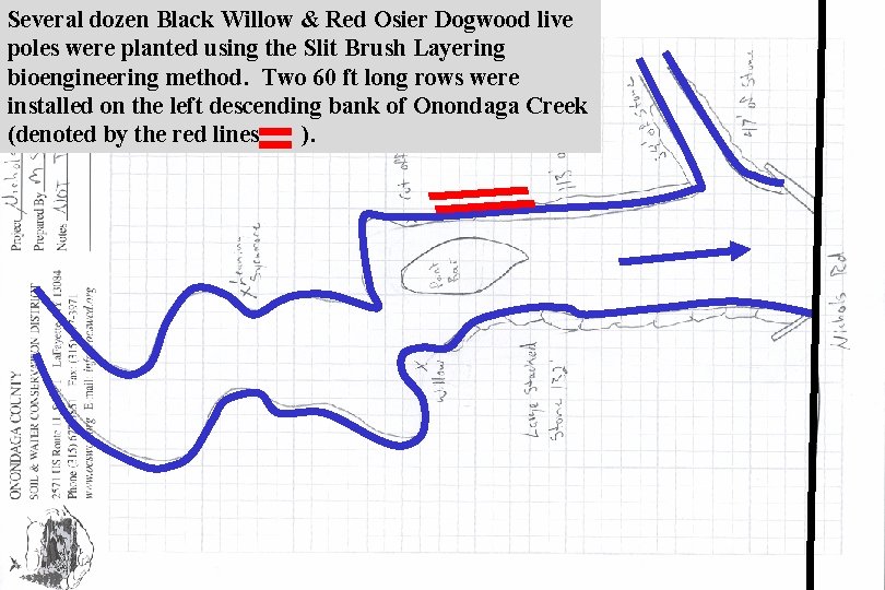 Several dozen Black Willow & Red Osier Dogwood live poles were planted using the
