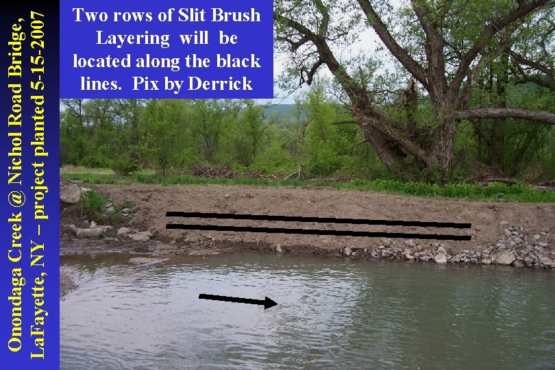 Onondaga Creek @ Nichol Road Bridge, La. Fayette, NY – project planted 5 -15