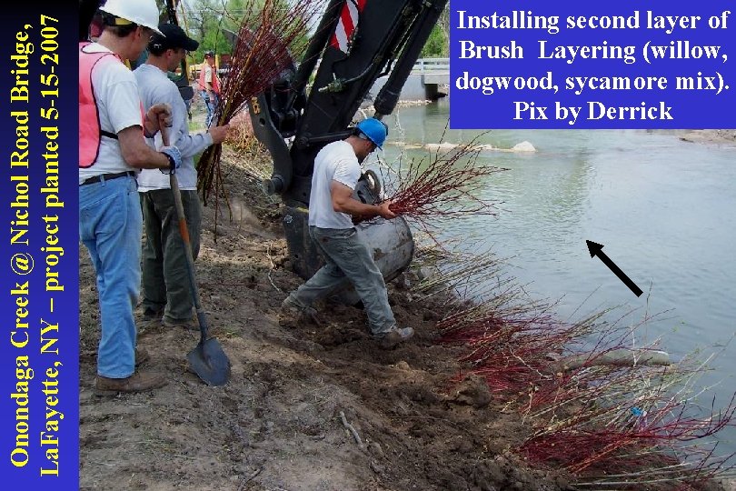 Onondaga Creek @ Nichol Road Bridge, La. Fayette, NY – project planted 5 -15