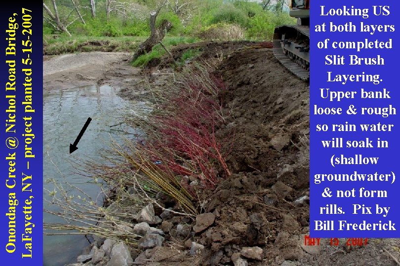 Onondaga Creek @ Nichol Road Bridge, La. Fayette, NY – project planted 5 -15