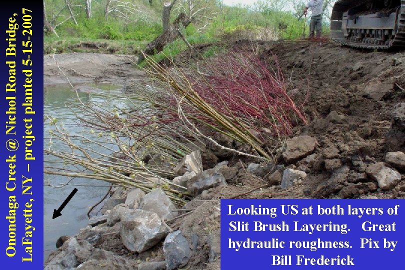 Onondaga Creek @ Nichol Road Bridge, La. Fayette, NY – project planted 5 -15