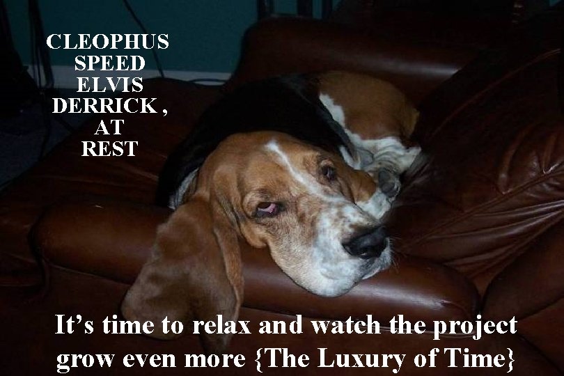 CLEOPHUS SPEED ELVIS DERRICK , AT REST It’s time to relax and watch the