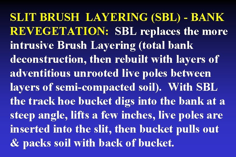 SLIT BRUSH LAYERING (SBL) - BANK REVEGETATION: SBL replaces the more intrusive Brush Layering