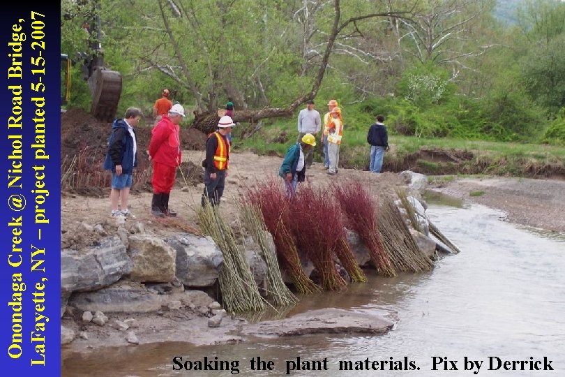 Onondaga Creek @ Nichol Road Bridge, La. Fayette, NY – project planted 5 -15