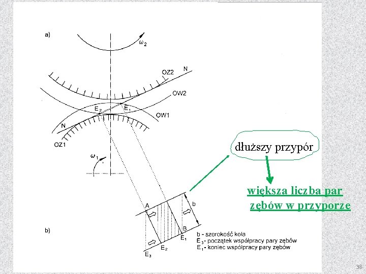 dłuższy przypór większa liczba par zębów w przyporze 38 