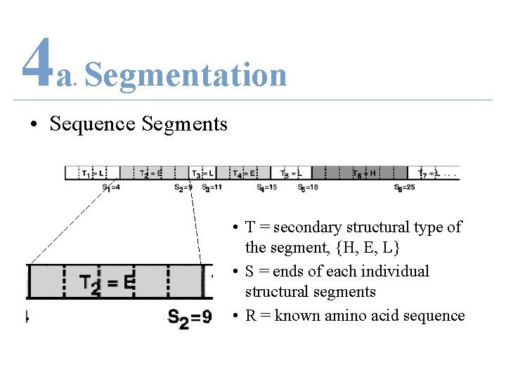 4 a Segmentation. • Sequence Segments • T = secondary structural type of the