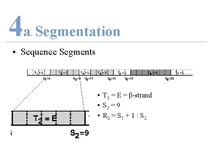 4 a Segmentation. • Sequence Segments • T 2 = E = β-strand •
