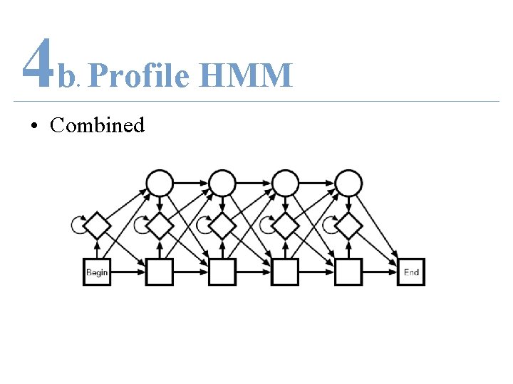 4 b Profile HMM. • Combined 