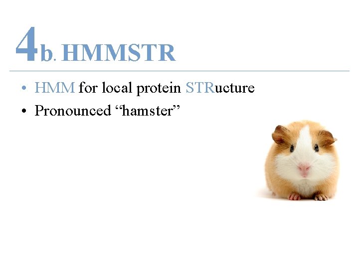 4 b HMMSTR. • HMM for local protein STRucture • Pronounced “hamster” 