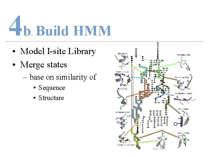 4 b Build HMM. • Model I-site Library • Merge states – base on