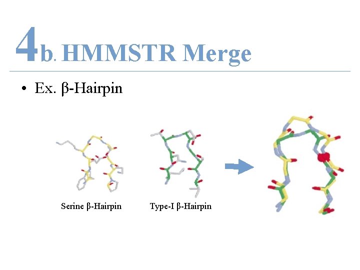 4 b HMMSTR Merge. • Ex. β-Hairpin Serine β-Hairpin Type-I β-Hairpin 