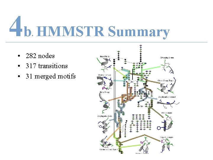 4 b HMMSTR Summary. • 282 nodes • 317 transitions • 31 merged motifs