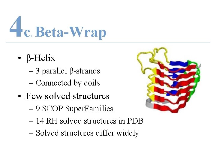 4 c Beta-Wrap. • β-Helix – 3 parallel β-strands – Connected by coils •