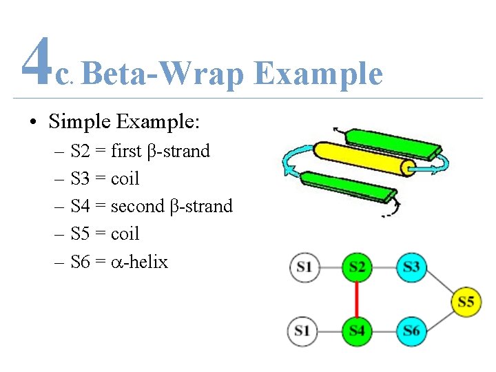 4 c Beta-Wrap Example. • Simple Example: – S 2 = first β-strand –