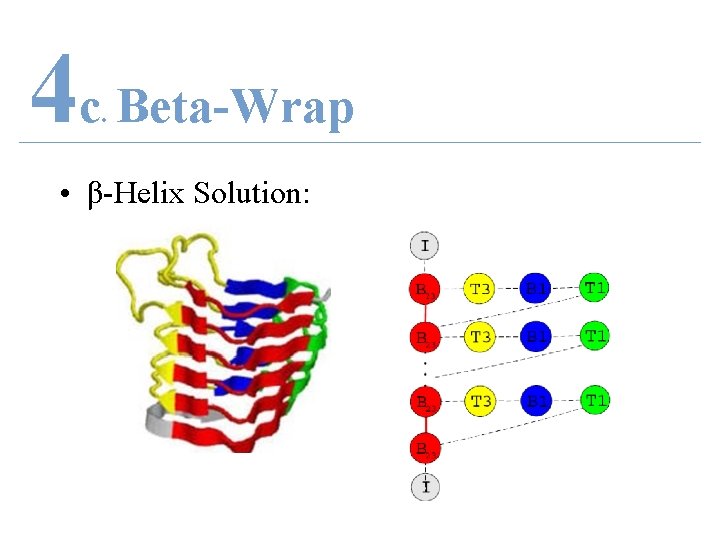 4 c Beta-Wrap. • β-Helix Solution: 