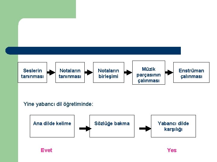 Seslerin tanınması Notaların birleşimi Müzik parçasının çalınması Enstrüman çalınması Yine yabancı dil öğretiminde: Ana